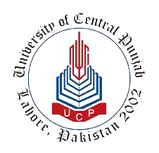 University of Central Punjab